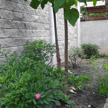 Guest House 오데사 객실 사진